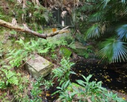 Walk: Navigation Exercise, Mt Kembla - 30 Oct 2021