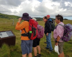 Walk: Loves Bay to Werri Beach