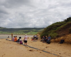 Walk: Loves Bay to Werri Beach