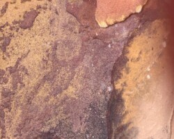 Beautiful walk along sandstone cliff tops, chance for a swim in a clear freshwater pool. Return to Wattamolla