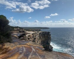 Walk: Wattamolla to Marley Beach
Sunday, 13 February