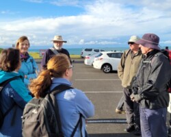 Walk: Flagstaff Hill to Fairy Meadow
Wednesday, 13 July