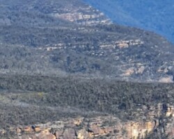 Walk Morton NP – Little Forest Plateau 17 July 2022