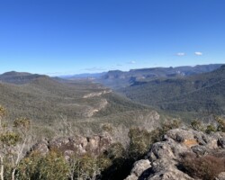 Our first visit since the fires. Walk to Mt Bushwalker, 7km return on the newly rebuilt track with somewhat controversial boardwalk then Florence Head 6.5km return.