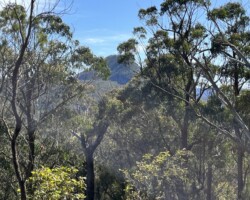 Walk Mt Jellore
Sunday, 30 October