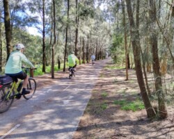 Cycle: Woolooware to Wolli Creek
Tuesday, 1 November