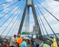 Anzac Bridge